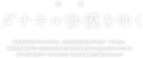 「ダナキル砂漠をゆく」ダナキル砂漠ツアー特集