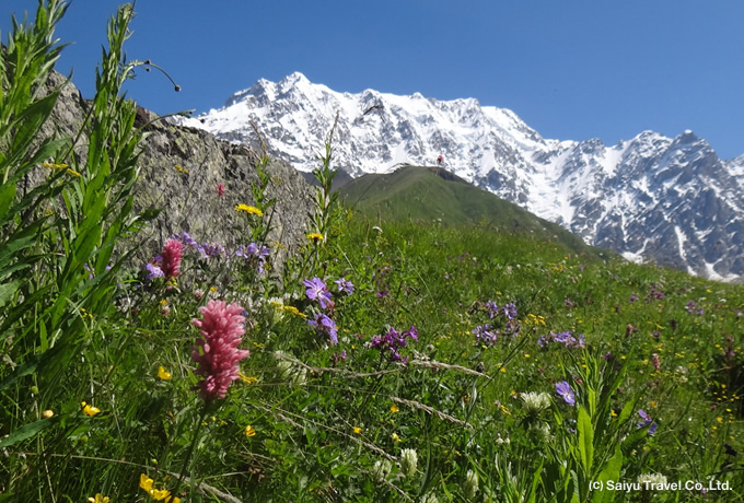 シュハラ山と花々