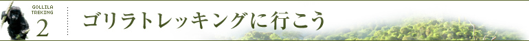 ゴリラトレッキングに行こう