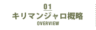 キリマンジャロ概略