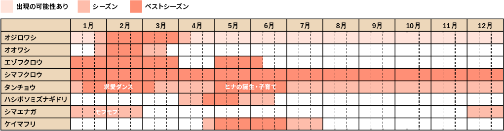 観察シーズングラフ
