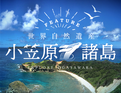 世界自然遺産 小笠原諸島
