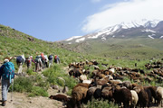 イラン最高峰ダマバンド山(5,671m)登頂